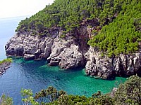 Mljet