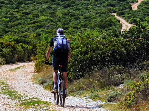 Mountain bike trail in the area of Viganj