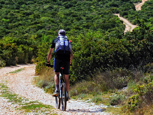 Sentier pour VTT dans la région de Viganj